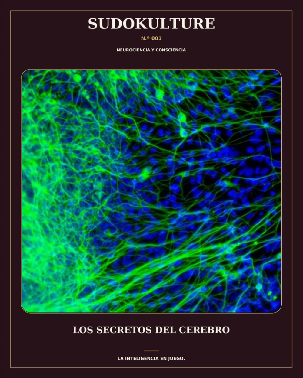 Couverture de Los secretos del cerebro
